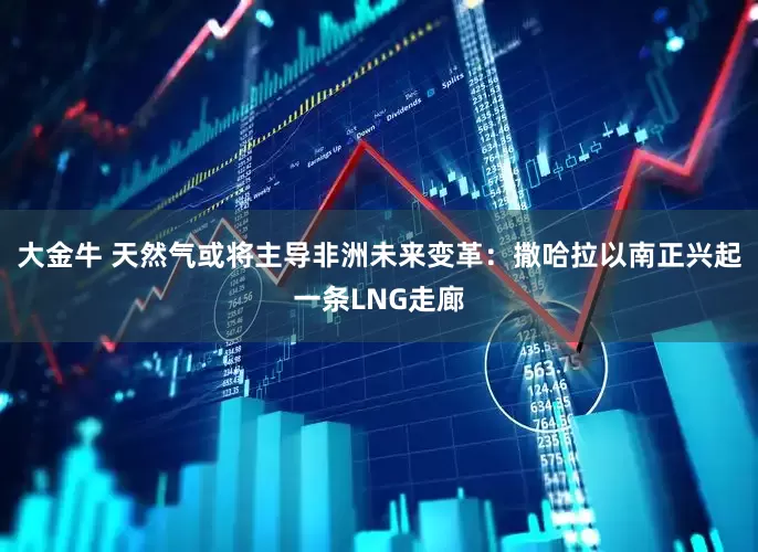 大金牛 天然气或将主导非洲未来变革：撒哈拉以南正兴起一条LNG走廊