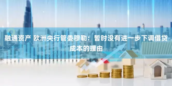 融通资产 欧洲央行管委穆勒：暂时没有进一步下调借贷成本的理由